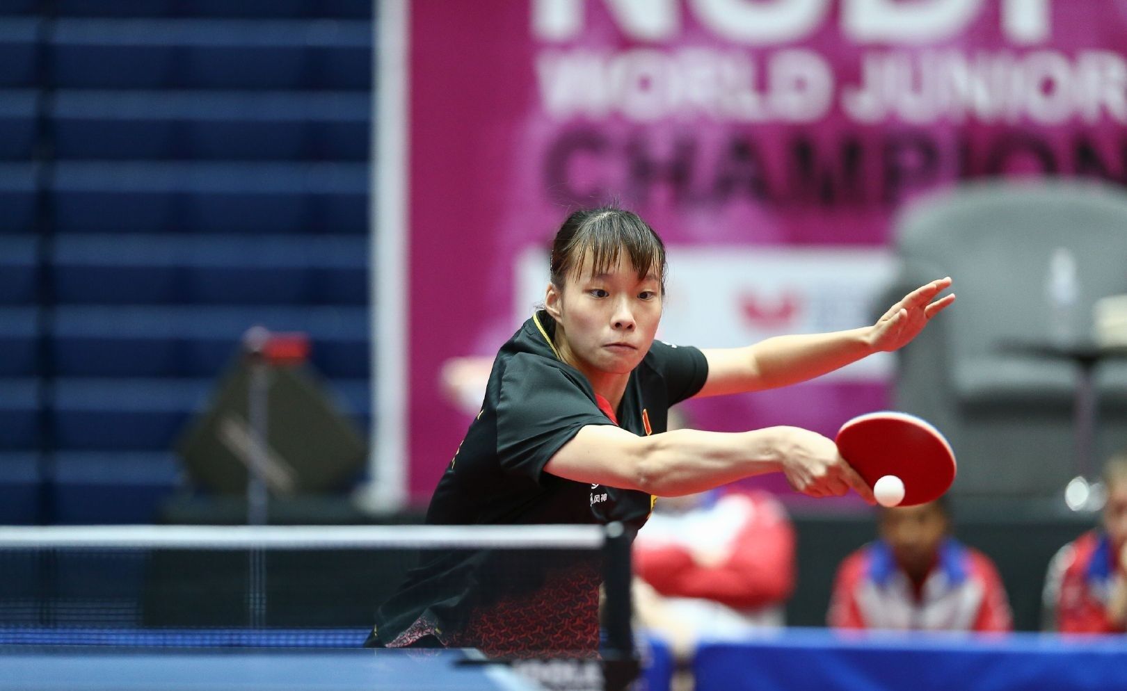 引发了他和 引发了他和