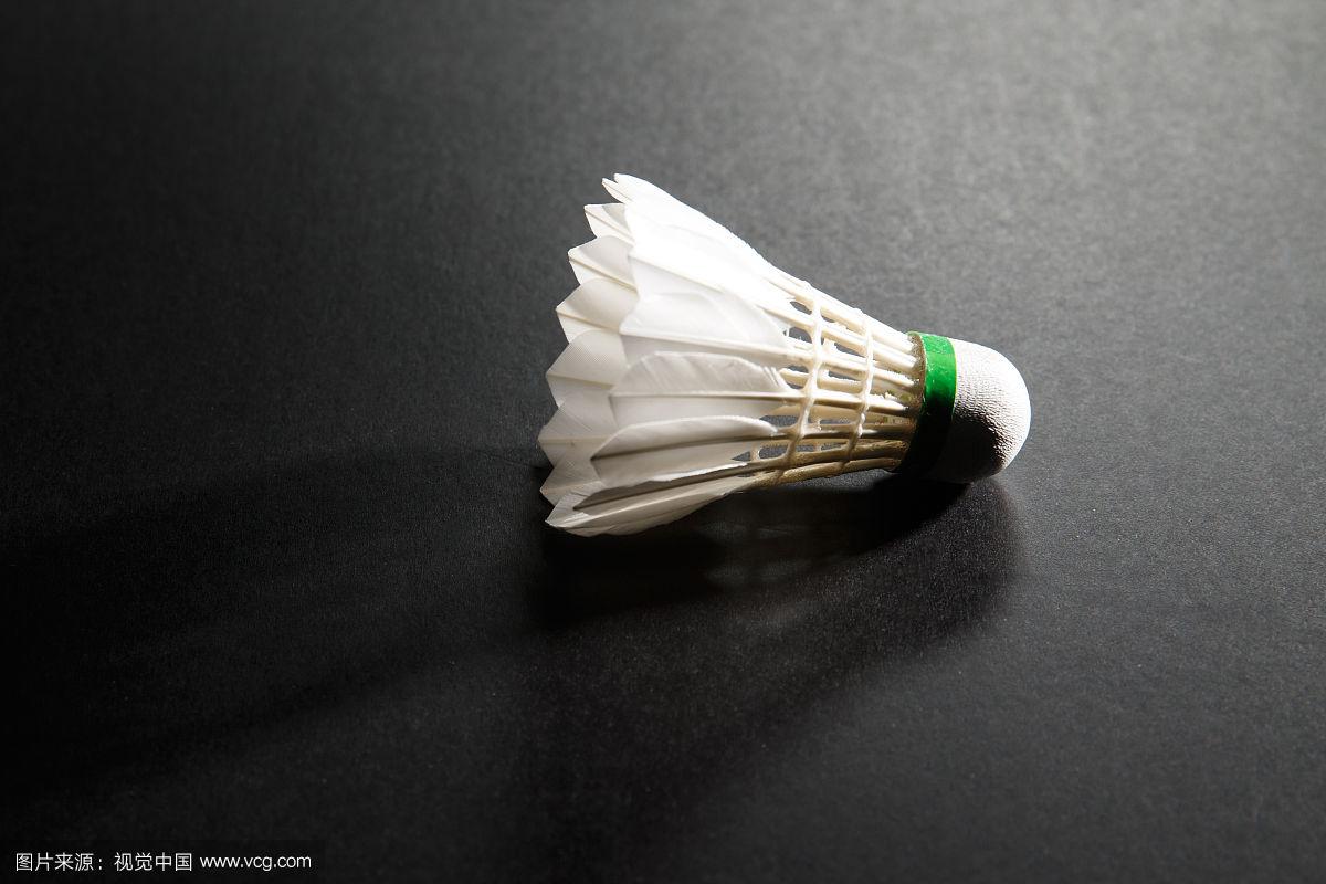 动来为华子 动来为华子